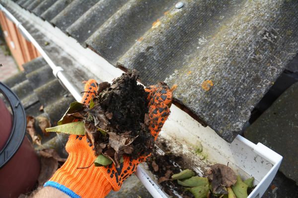 Cost of Seamless Gutter Cleaning in Santa Maria