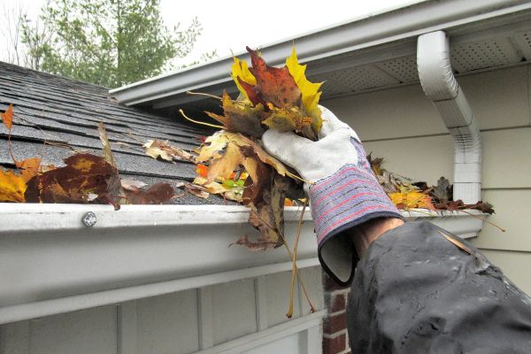 Leaf Gutter Cleaning in Santa Maria