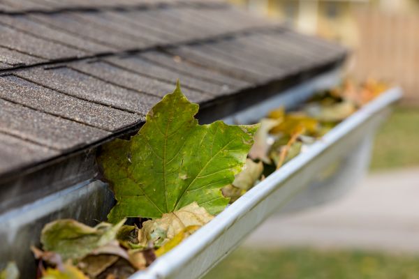 Cost of Gutter System Cleaning in Santa Maria
