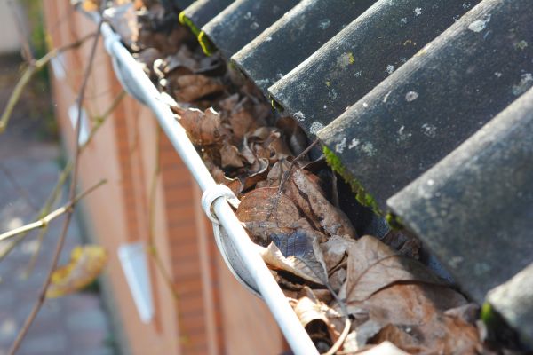 Cost of Home Gutter Cleaning in Santa Maria