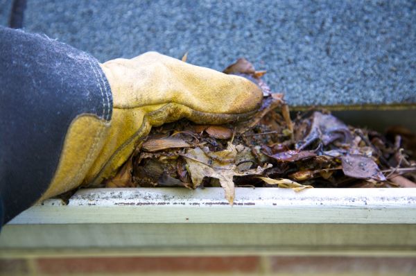 Cost of Jammed Gutter Cleaning in Santa Maria