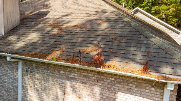 Cost of Gutter Pine Needle Removal in Santa Maria