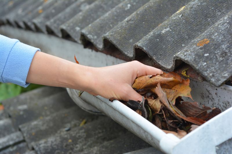 Clean Gutters in Action
