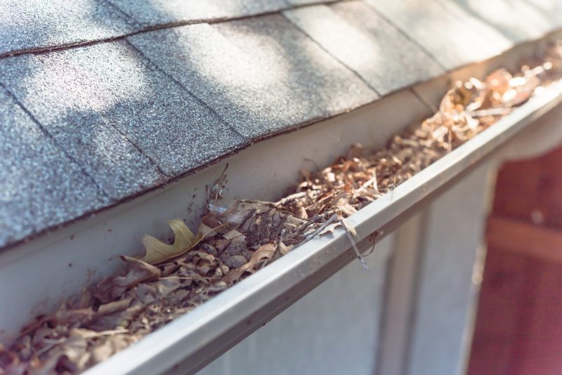 Clogged Gutters with Debris