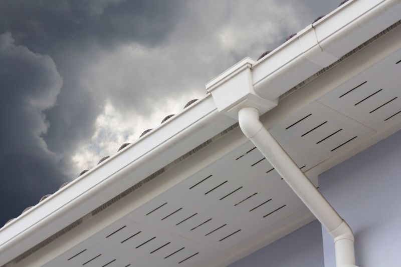 Clean Gutters with Downspouts