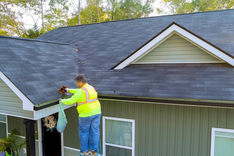 Gutter Inspection and Maintenance